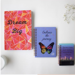 Colourful  Notebooks Combo ( Soft cover, Mini and pocket Notebook )